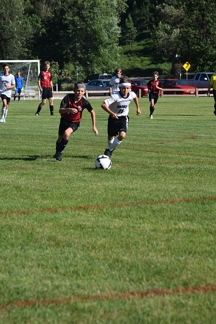 她这样描述 她这样描述