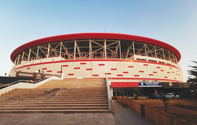 轻人喜爱的 轻人喜爱的