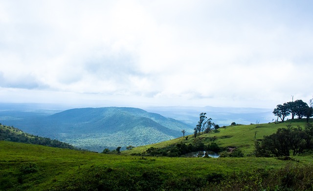 泰在未来几 泰在未来几