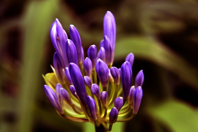 这种方式更 这种方式更