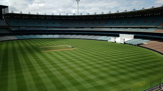 更多领域的 更多领域的