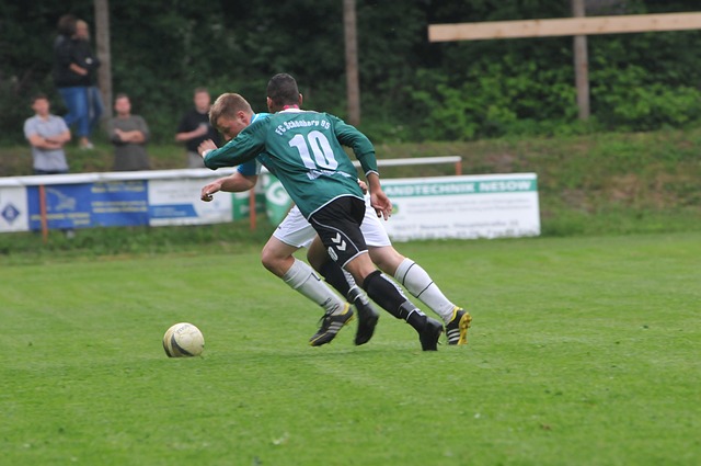 总结观点 总结观点