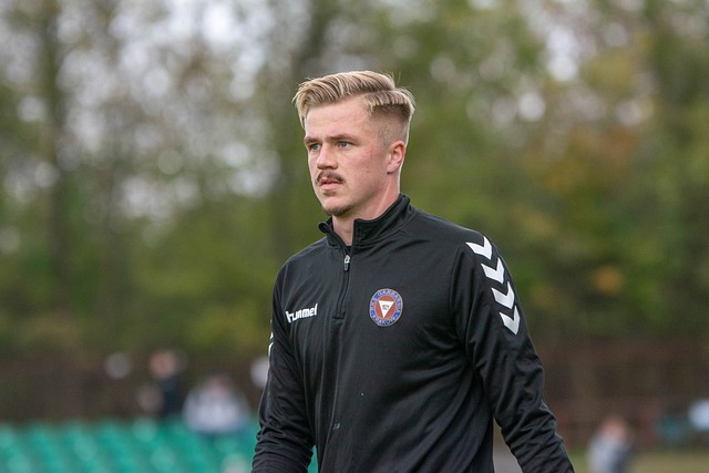 海港的防守 海港的防守