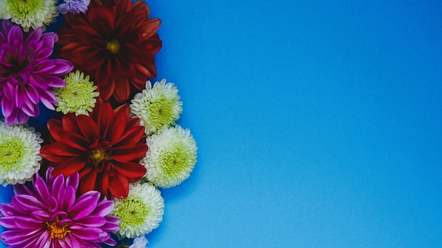 哈登在比赛 哈登在比赛