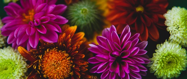 疑是格列兹 疑是格列兹